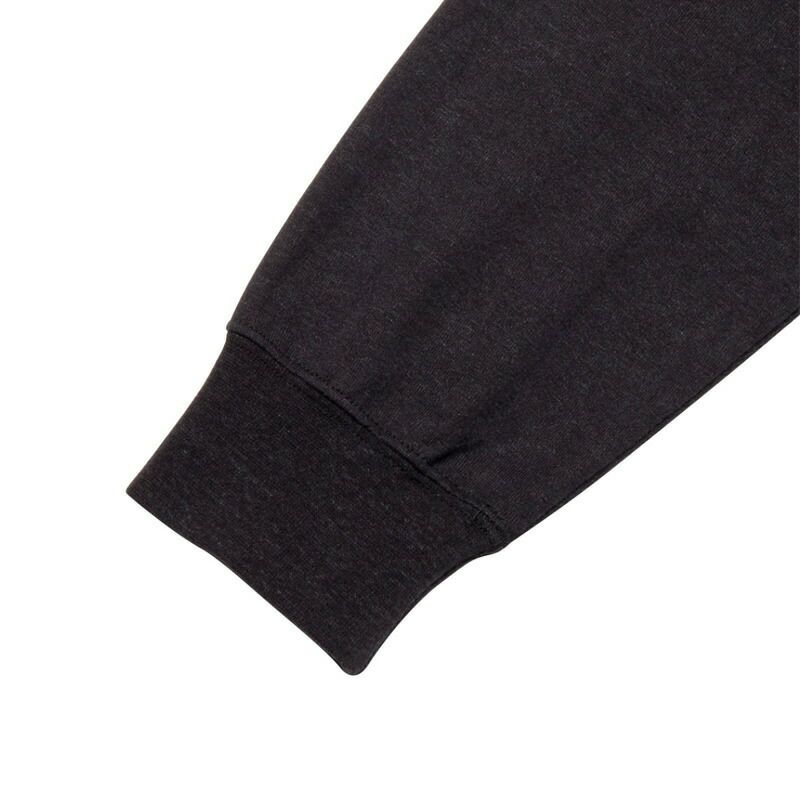 Ya2/ザ・ノース・フェイスTHENORTHFACE/カットソー/ロングスリーブズーピッカーティー/NT32533/メンズ【正規取扱】