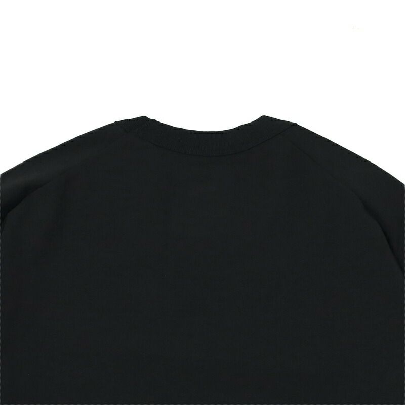 Ya2/ザ・ノース・フェイスTHENORTHFACE/Tシャツカットソー/ショートスリーブエンライドティー/NT32461/メンズ【正規取扱】