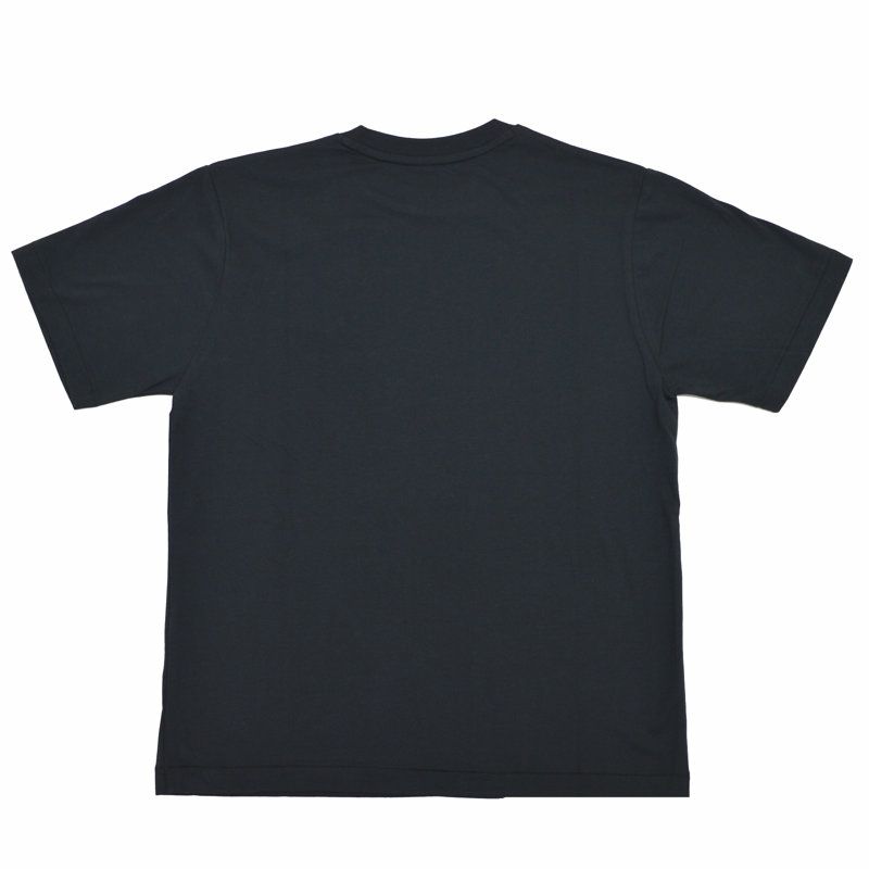 Ra9/ダントンDANTON/Tシャツ/ショートスリーブインナーTシャツ/DT-C0195CVT/レディース【正規取扱】