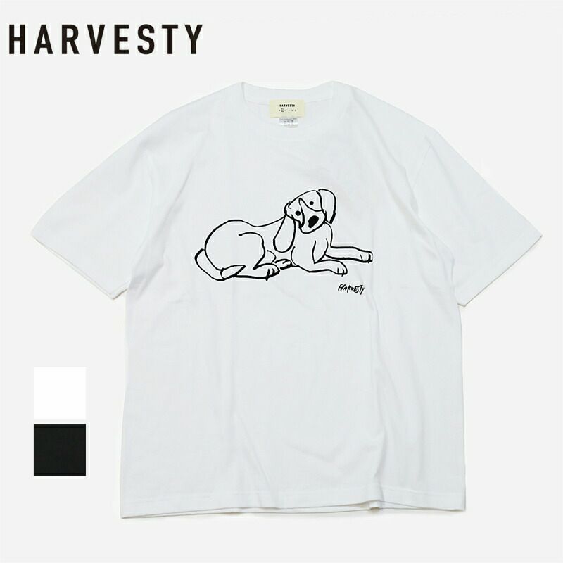 Ya2/ハーベスティHARVESTY/Tシャツカットソー/プリントTシャツイワサトミキ/A52506/レディース【正規取扱】