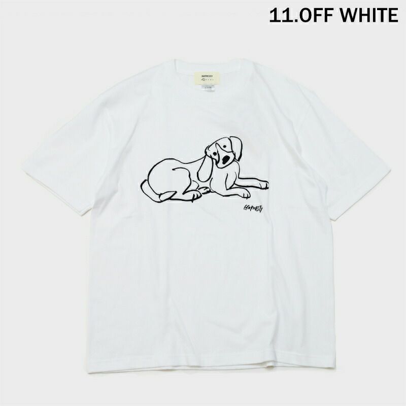 Ya2/ハーベスティHARVESTY/Tシャツカットソー/プリントTシャツイワサトミキ/A52506/レディース【正規取扱】