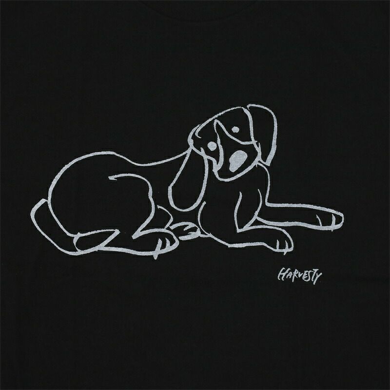 Ya2/ハーベスティHARVESTY/Tシャツカットソー/プリントTシャツイワサトミキ/A52506/レディース【正規取扱】