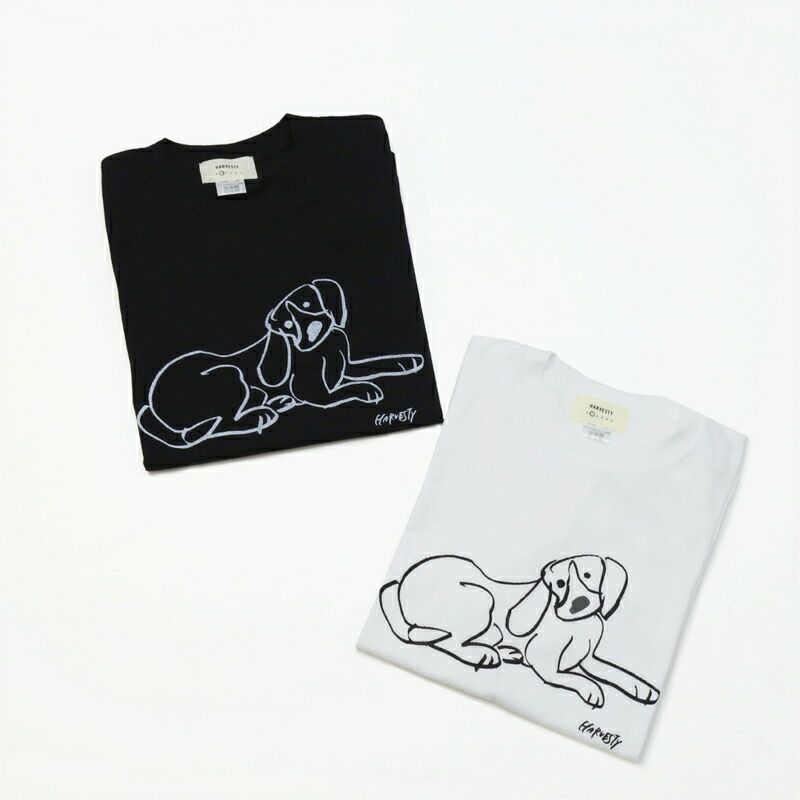 Ya2/ハーベスティHARVESTY/Tシャツカットソー/プリントTシャツイワサトミキ/A52506/レディース【正規取扱】