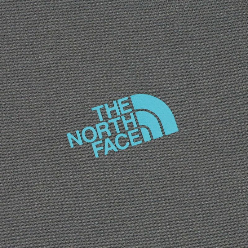 Ya2/ザ・ノース・フェイスTHENORTHFACE/Tシャツカットソー/ショートスリーブフラッシュドライカクタスロゴティー/NT32545/メンズ【正規取扱】
