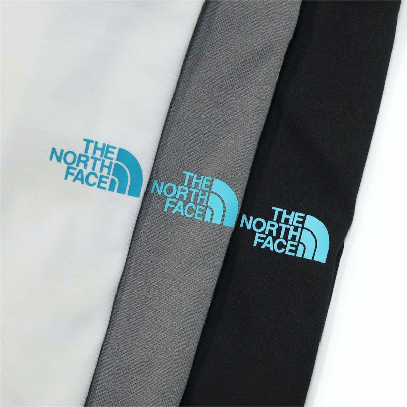 Ya2/ザ・ノース・フェイスTHENORTHFACE/Tシャツカットソー/ショートスリーブフラッシュドライカクタスロゴティー/NT32545/メンズ【正規取扱】