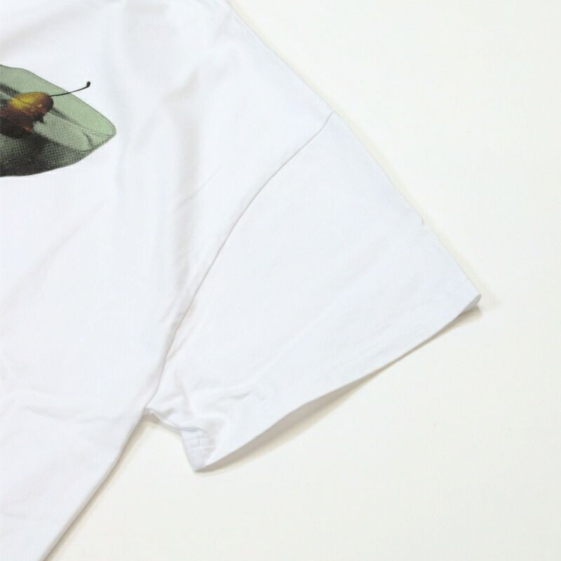 Ya2/シンゾーンShinzone/Tシャツカットソー/カクテルTシャツ/25MMSCU14/レディース【正規取扱】